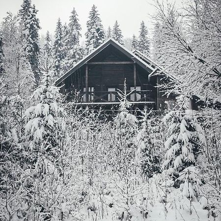 Chalet Shepit Karpat Bukowel Exterior foto