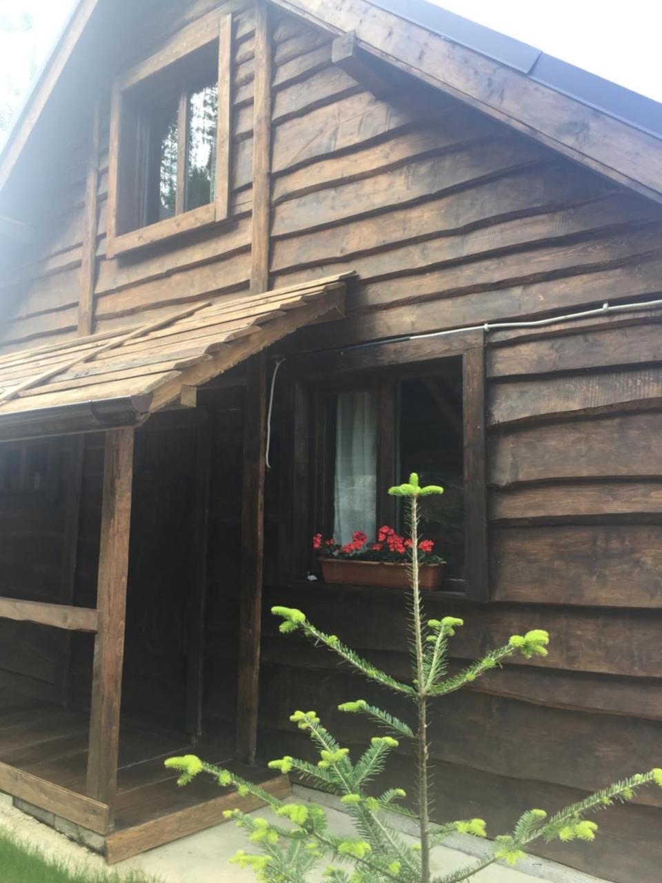 Chalet Shepit Karpat Bukowel Exterior foto