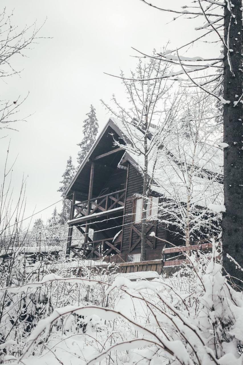 Chalet Shepit Karpat Bukowel Exterior foto